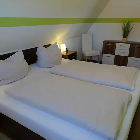 Vogelnest Kellenhusen