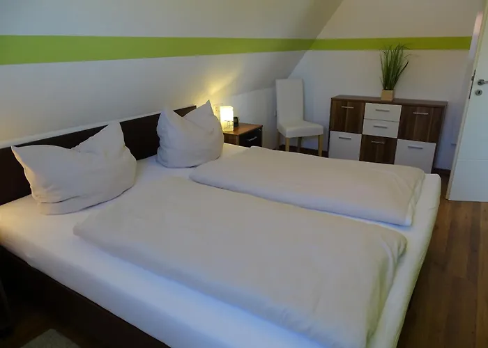 Vogelnest Kellenhusen